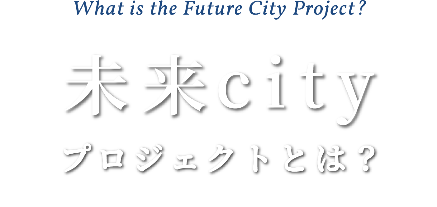 What is the Future City Project? 未来Cityプロジェクトとは？